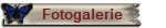 Fotogalerie