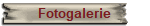 Fotogalerie