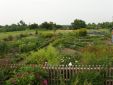 Kommen Sie den Bauerngarten in Luplow besuchen!